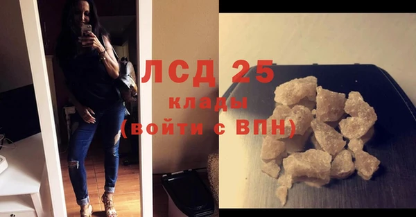 дживик Надым