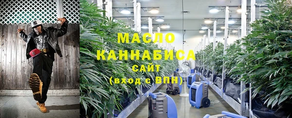 дживик Надым