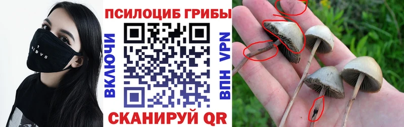 Галлюциногенные грибы GOLDEN TEACHER  Купить  Кызыл 